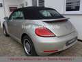 Volkswagen Beetle 1.2TSI Allstar Plus Xenon LED Kamera SHZ Silber - thumbnail 4