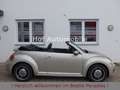 Volkswagen Beetle 1.2TSI Allstar Plus Xenon LED Kamera SHZ Silber - thumbnail 3