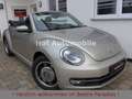 Volkswagen Beetle 1.2TSI Allstar Plus Xenon LED Kamera SHZ Silber - thumbnail 1