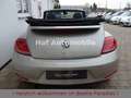 Volkswagen Beetle 1.2TSI Allstar Plus Xenon LED Kamera SHZ Silber - thumbnail 17