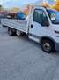 Iveco Daily Bianco - thumbnail 3