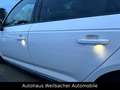 Audi A4 Lim. quattro S line *Virtual*LED*SCH*Leder* Weiß - thumbnail 16