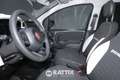 Fiat Panda Pandina 1.0 Firefly Hybrid 70CV Cross Grün - thumbnail 8
