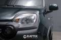 Fiat Panda Pandina 1.0 Firefly Hybrid 70CV Cross Grün - thumbnail 3