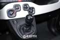 Fiat Panda Pandina 1.0 Firefly Hybrid 70CV Cross Grün - thumbnail 22