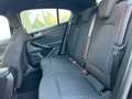 Ford Focus Focus 1.5 ecoblue ST-Line 115cv auto PROMO Noir - thumbnail 15