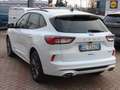 Ford Kuga 2.5 Plug In Hybrid 225 CV CVT 2WD ST-Line X Weiß - thumbnail 2