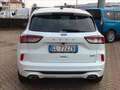 Ford Kuga 2.5 Plug In Hybrid 225 CV CVT 2WD ST-Line X Weiß - thumbnail 4