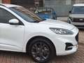 Ford Kuga 2.5 Plug In Hybrid 225 CV CVT 2WD ST-Line X Weiß - thumbnail 15