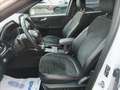 Ford Kuga 2.5 Plug In Hybrid 225 CV CVT 2WD ST-Line X Weiß - thumbnail 9