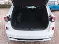 Ford Kuga 2.5 Plug In Hybrid 225 CV CVT 2WD ST-Line X Weiß - thumbnail 11