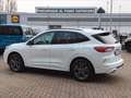 Ford Kuga 2.5 Plug In Hybrid 225 CV CVT 2WD ST-Line X Weiß - thumbnail 5