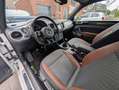 Volkswagen Beetle Volkswagen Beetle 1.2 TSI Allstar | 2016 | 79950km Alb - thumbnail 8