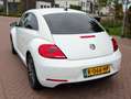 Volkswagen Beetle Volkswagen Beetle 1.2 TSI Allstar | 2016 | 79950km Alb - thumbnail 5