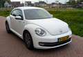 Volkswagen Beetle Volkswagen Beetle 1.2 TSI Allstar | 2016 | 79950km Alb - thumbnail 2