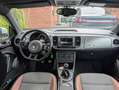 Volkswagen Beetle Volkswagen Beetle 1.2 TSI Allstar | 2016 | 79950km Alb - thumbnail 9