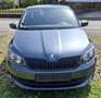 Skoda Fabia Fabia 1.2 TSI Cool Edition Grau - thumbnail 2
