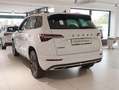 Skoda Karoq 1.5 TSI Sportline DSG AHK Navi RüKa Sitzh. Weiß - thumbnail 3
