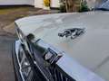 Jaguar XJ XJ 4.2 Blanc - thumbnail 10