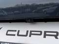 CUPRA Terramar 1.5 e-Hybrid DSG Head-Up Navi Park Assist Sennheis Blau - thumbnail 30