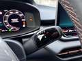 CUPRA Terramar 1.5 e-Hybrid DSG Head-Up Navi Park Assist Sennheis Blau - thumbnail 15