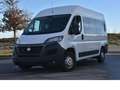 Fiat Ducato Rampe/Multiflex/Smart Floor/Rollstuhl Weiß - thumbnail 3