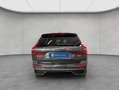 Volvo XC60 XC60 B4 Plus-Dark Aut 21'' Google-Maps LED Kamera Grau - thumbnail 4