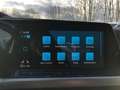 Volkswagen Golf VIII Lim. 1.5 TSI Move LED+NAVI+ACC+DIGIPRO+++ Grau - thumbnail 24