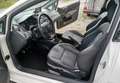 SEAT Ibiza Ibiza SC 1.4 16V iTECH 8-fach ALU TEMPOMAT  LEDER Weiß - thumbnail 3