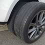 SEAT Ibiza Ibiza SC 1.4 16V iTECH 8-fach ALU TEMPOMAT  LEDER Weiß - thumbnail 14