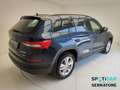 Skoda Kodiaq I 2.0 tdi Executive 4x4 dsg Blau - thumbnail 5