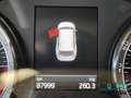 Skoda Kodiaq I 2.0 tdi Executive 4x4 dsg Blau - thumbnail 9