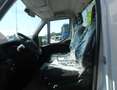 Iveco Daily DAILY 35C16 CON GRU PALFINGER PK3400B E CASSONE RIB.LE TRILATERALE Bianco - thumbnail 12