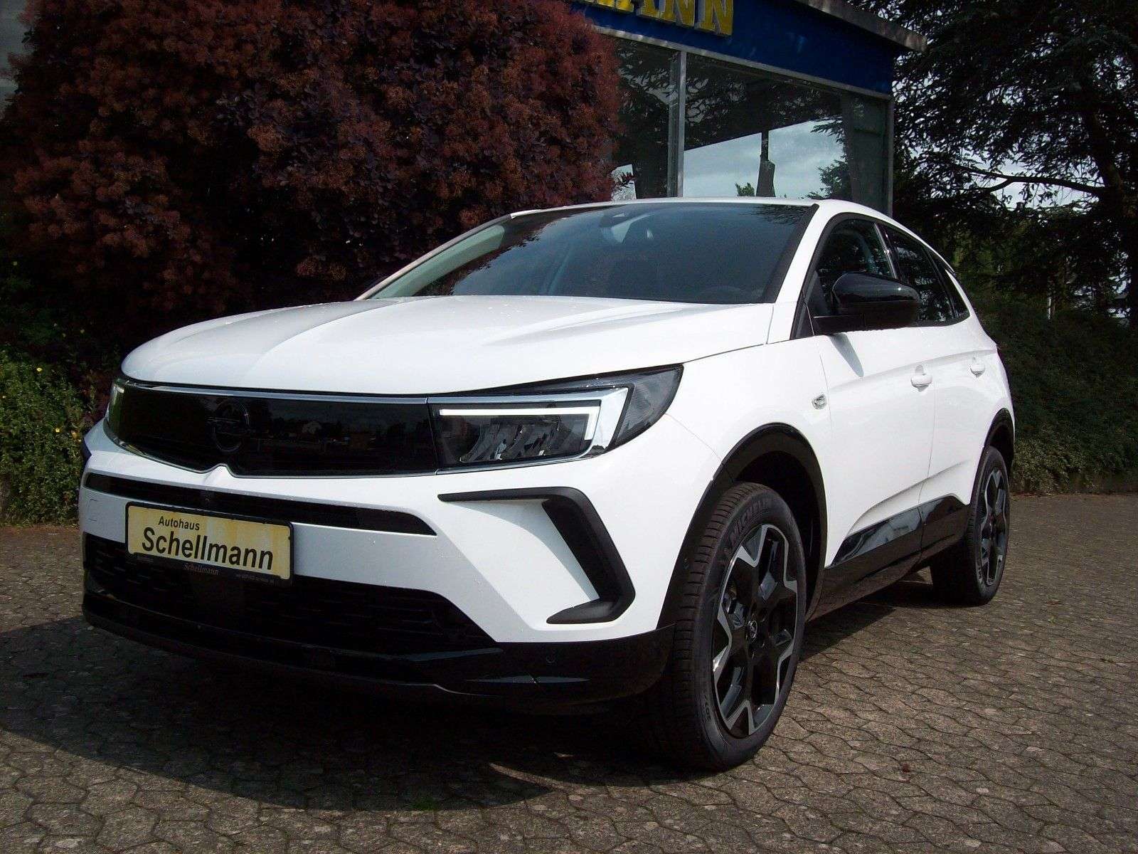 Opel Grandland X