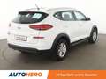 Hyundai TUCSON 1.6 Trend 2WD*TEMPO*PDC*SHZ*KLIMA*GARANTIE* Blanc - thumbnail 6