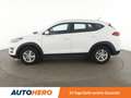 Hyundai TUCSON 1.6 Trend 2WD*TEMPO*PDC*SHZ*KLIMA*GARANTIE* Blanc - thumbnail 3