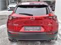 Mazda CX-30 e-Skyactive G140 Exclusive-Line KURZZULASSUN Rot - thumbnail 6