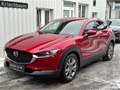 Mazda CX-30 e-Skyactive G140 Exclusive-Line KURZZULASSUN Rot - thumbnail 1