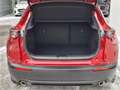 Mazda CX-30 e-Skyactive G140 Exclusive-Line KURZZULASSUN Rot - thumbnail 19