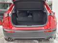 Mazda CX-30 e-Skyactive G140 Exclusive-Line KURZZULASSUN Rot - thumbnail 20