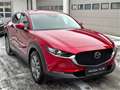 Mazda CX-30 e-Skyactive G140 Exclusive-Line KURZZULASSUN Rot - thumbnail 3