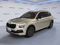 Skoda Kamiq 1.0 TSI 115 CV DSG Black Dots Argento - thumbnail 1