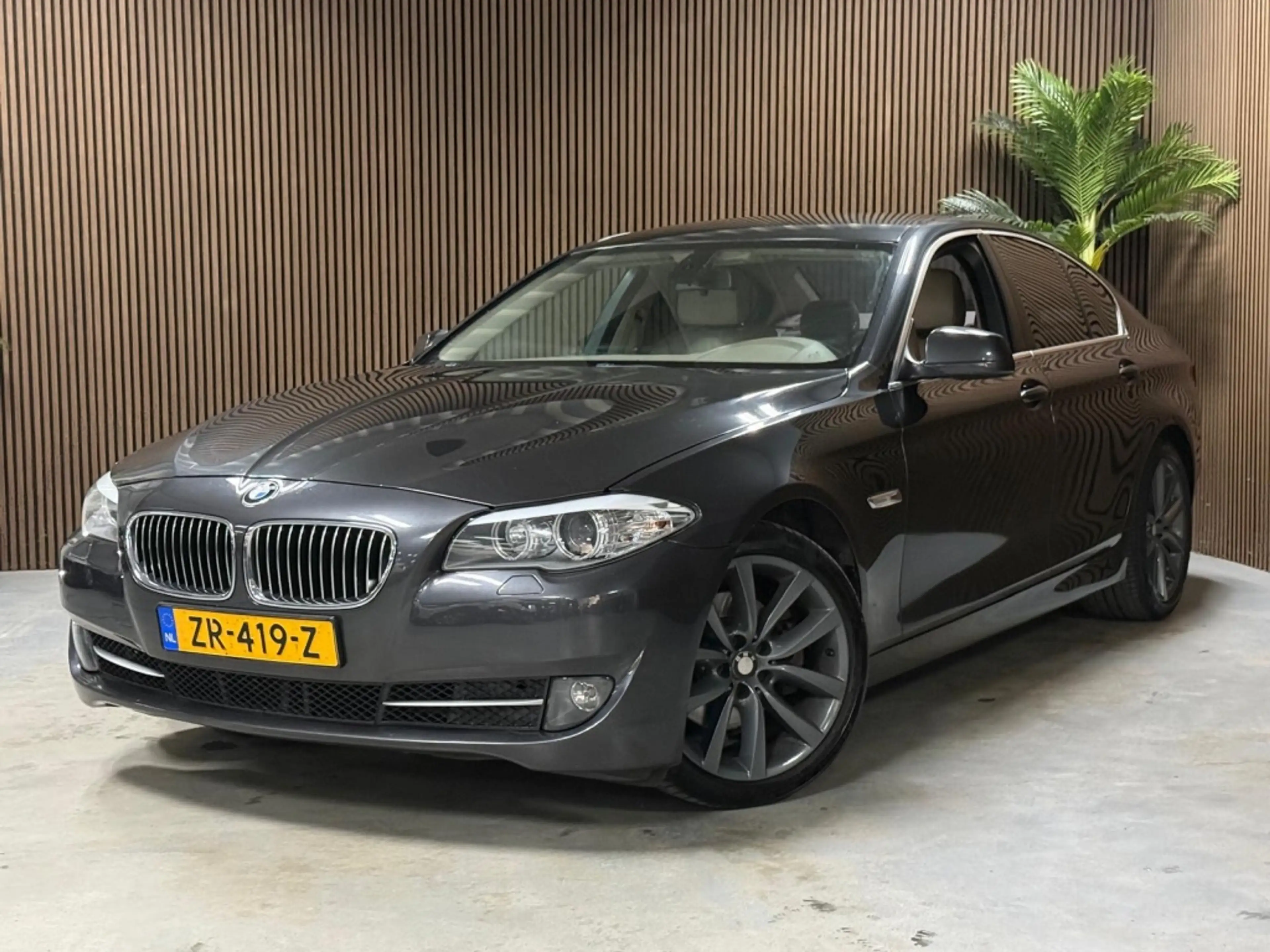 BMW 523 5-serie 523i High Executive INJECTOR PROBLEEM