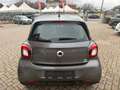 smart forFour Forfour II 1.0 Passion 71cv twinamic ITALIANA Grigio - thumbnail 6