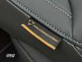CUPRA Terramar 2.0 TSI VZ 195kW DSG 4Drive Gris - thumbnail 26