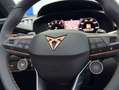 CUPRA Terramar 2.0 TSI VZ 195kW DSG 4Drive Gris - thumbnail 13