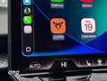 CUPRA Terramar 2.0 TSI VZ 195kW DSG 4Drive Gris - thumbnail 17