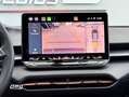 CUPRA Terramar 2.0 TSI VZ 195kW DSG 4Drive Gris - thumbnail 14