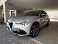 Alfa Romeo Stelvio 2.2 td Red Edition 160cv automatica IVA ESPOSTA Argento - thumbnail 1