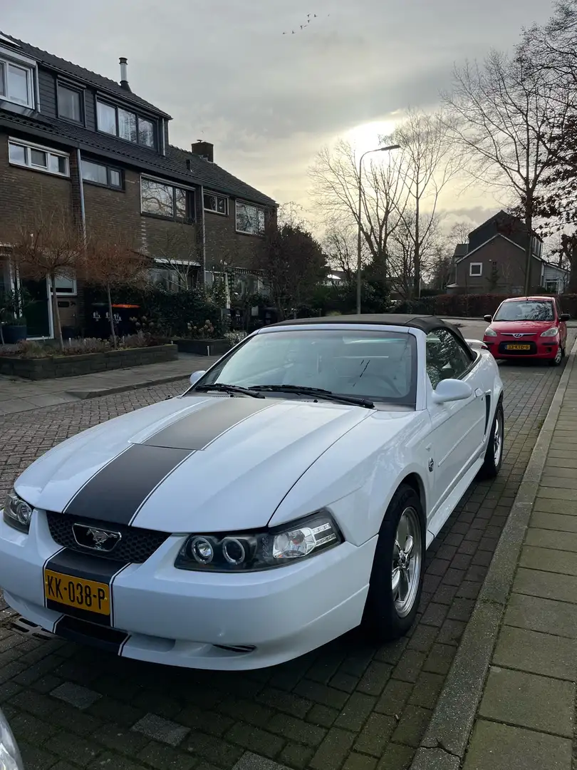 Ford Mustang 3.8 V6 CONVERTIBLE Wit - 1